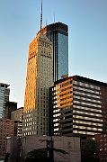 252 Minneapolis Foshay Tower